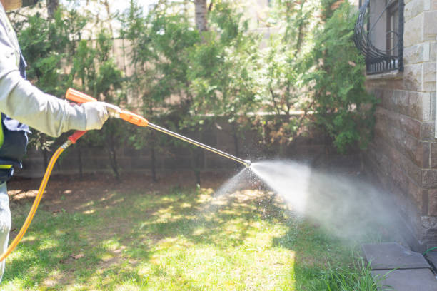 Best Bee and Wasp Removal  in Fennville, MI